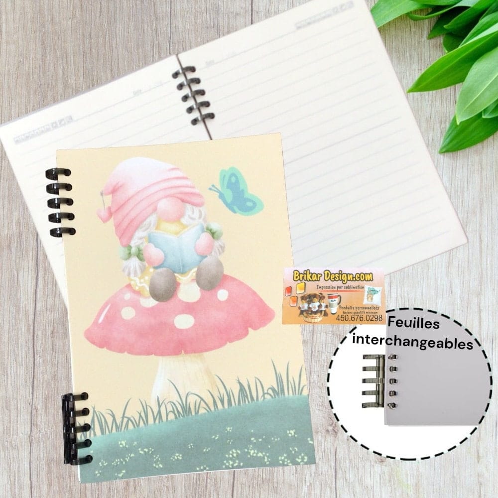 Carnet Gnome lecture