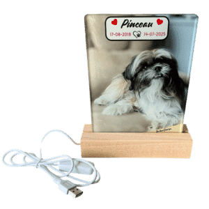 Veilleuse LED personnalisée